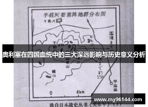 奥利塞在四国血统中的三大深远影响与历史意义分析