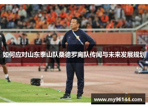 如何应对山东泰山队桑德罗离队传闻与未来发展规划